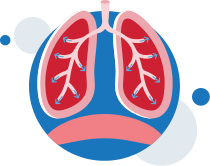 Vías respiratorias inferiores